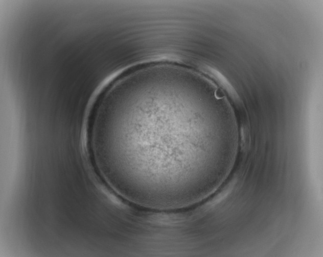 X0000114080780200910051357