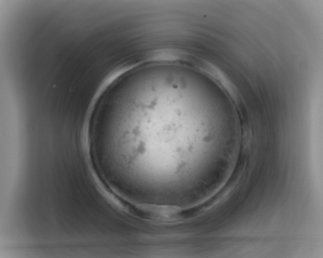 X0000114080795200910051357