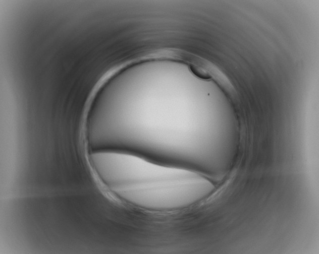 X0000114080800200910051357