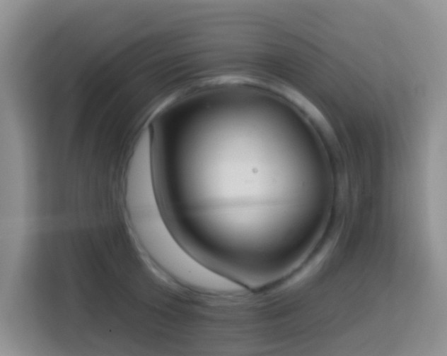 X0000114080801200910051357