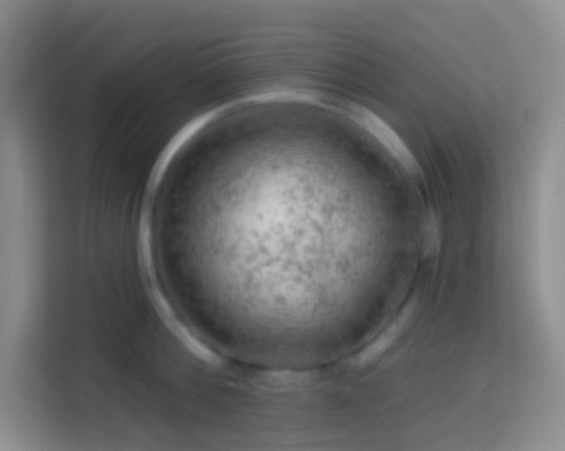 X0000114080812200910051357