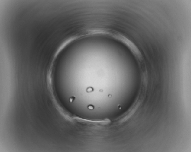 X0000114080814200910051357