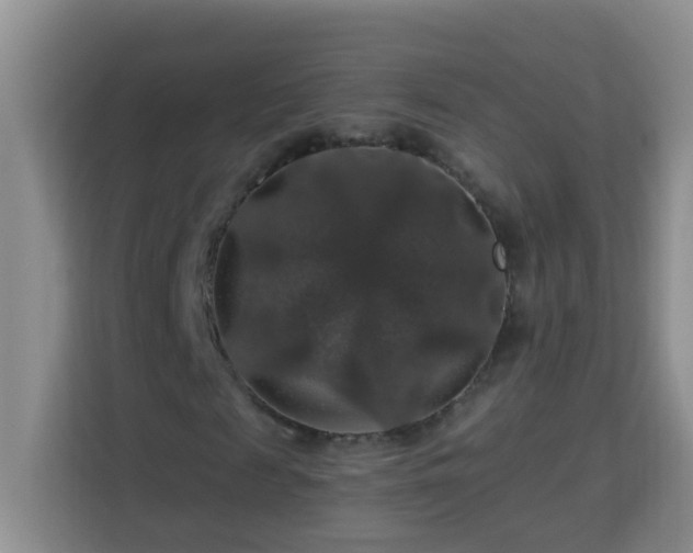 X0000114080817200910051356