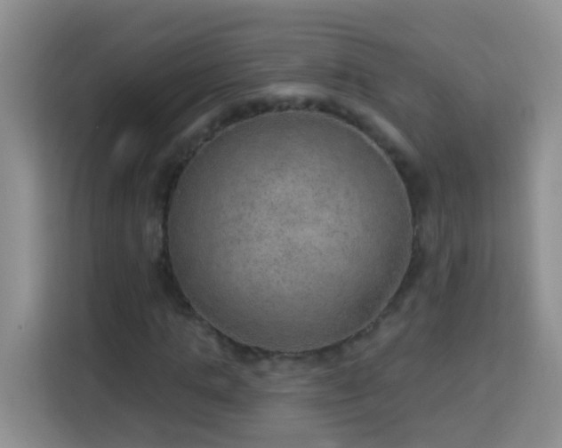 X0000114080821200910051356