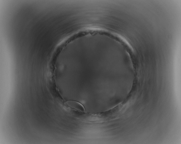 X0000114080823200910051356