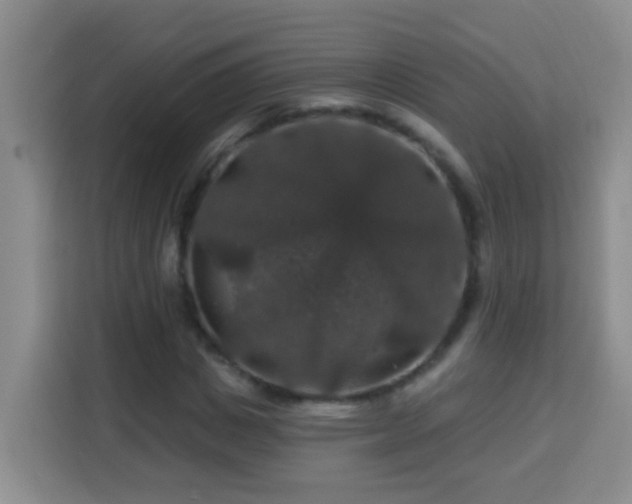 X0000114080825200910051357