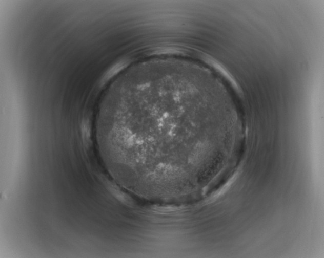 X0000114080826200910051357