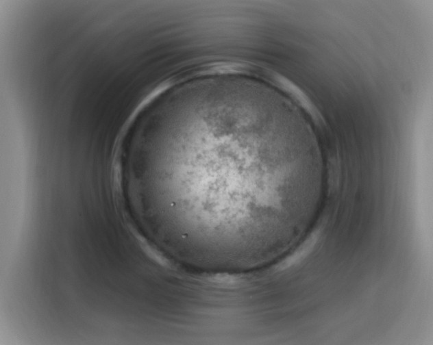 X0000114080827200910051357