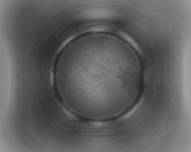 X0000114080829200910051357