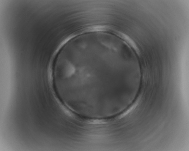 X0000114080835200910051357