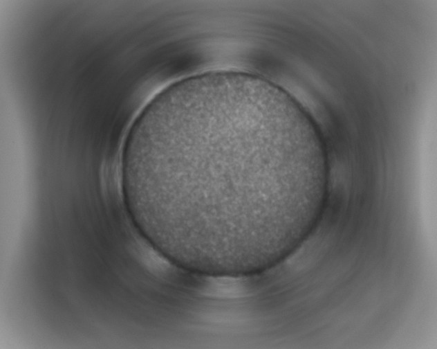 X0000114080836200910051357