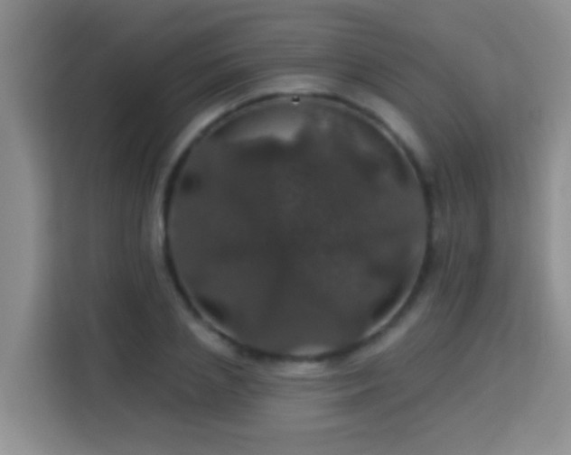 X0000114080837200910051357