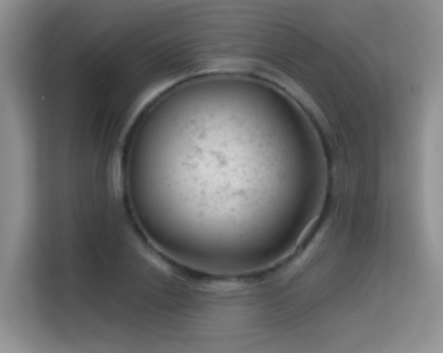 X0000114080838200910051357