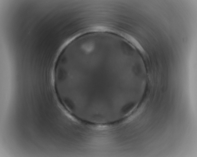 X0000114080839200910051357