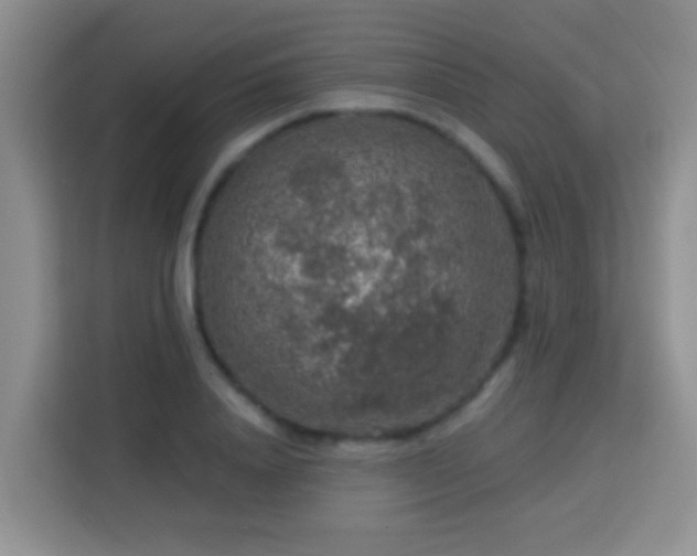 X0000114080840200910051357