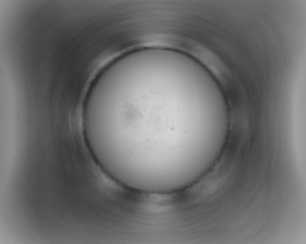 X0000114080848200910051357