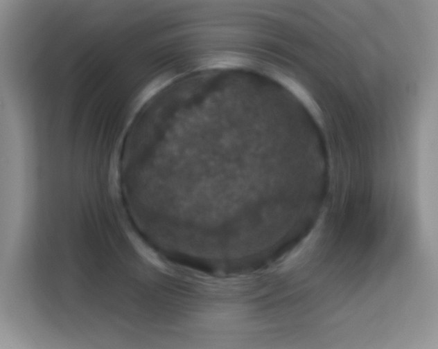 X0000114080850200910051357