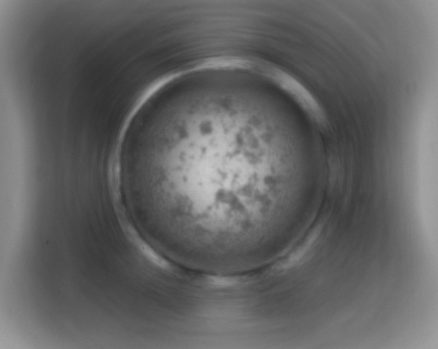 X0000114080852200910051357