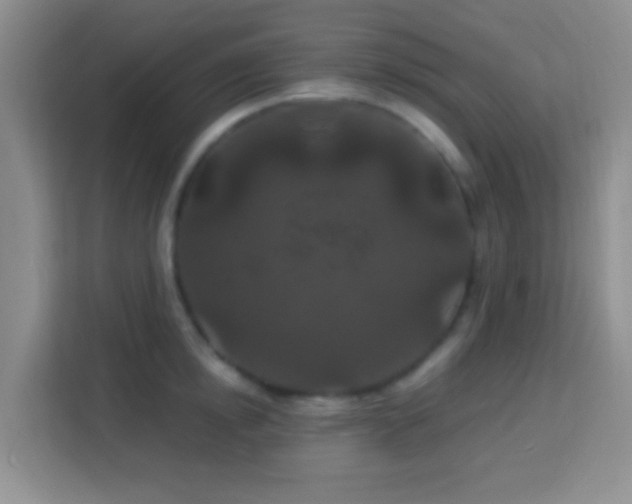 X0000114080854200910051357