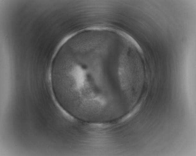 X0000114080855200910051357