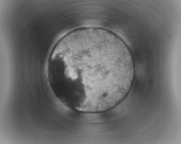 X0000114080856200910051357