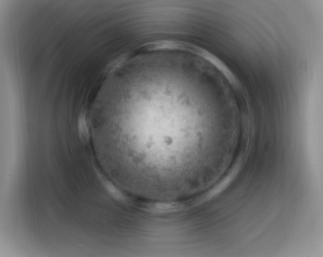 X0000114080857200910051357