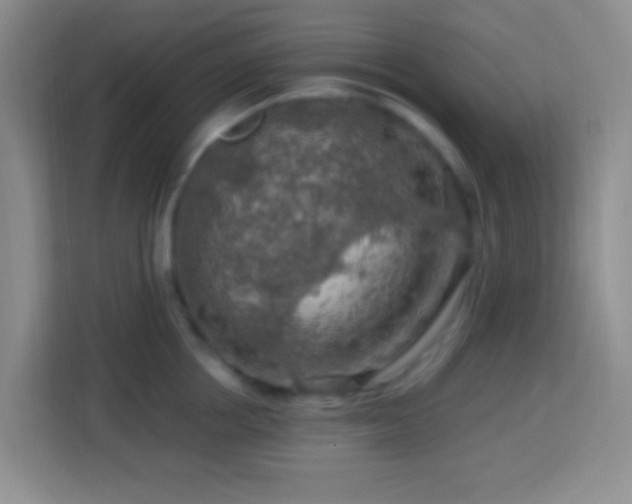 X0000114080858200910051357