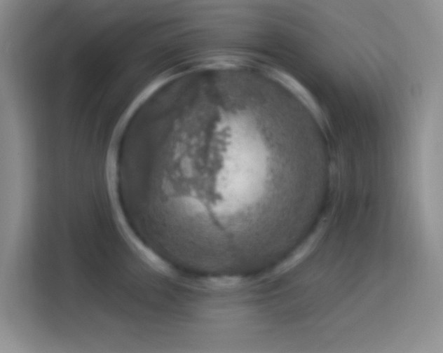 X0000114080859200910051357