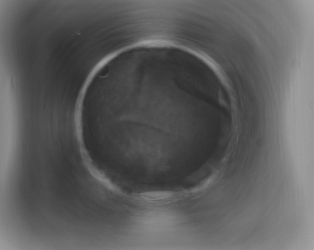 X0000114080864200910051357