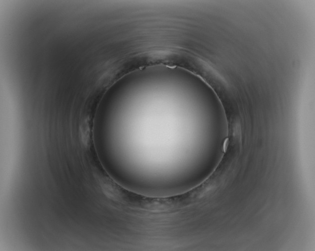 X0000114080868200910051356