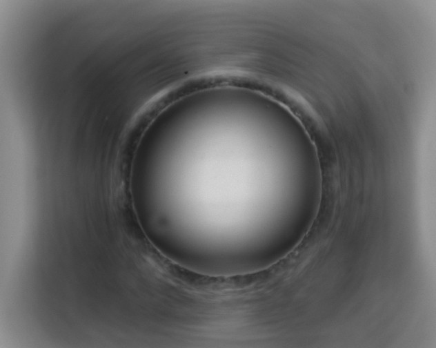 X0000114080872200910051356