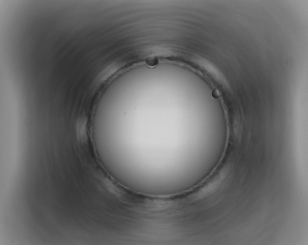 X0000114080873200910051356