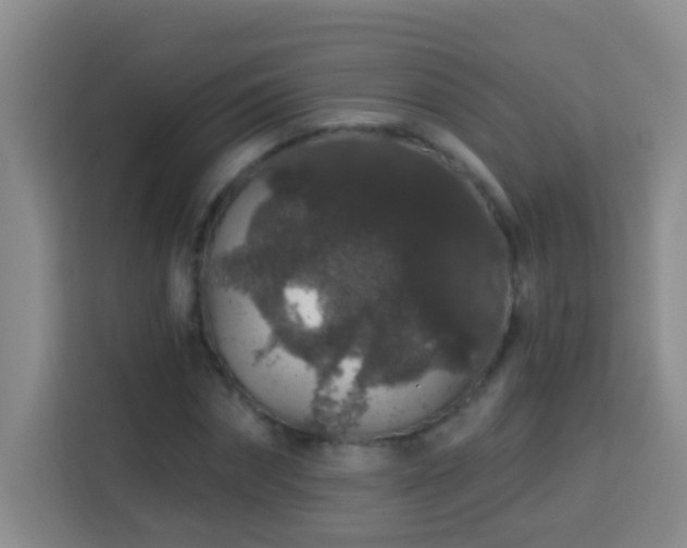 X0000114080874200910051356