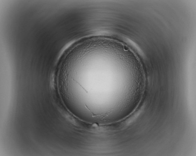 X0000114080875200910051356