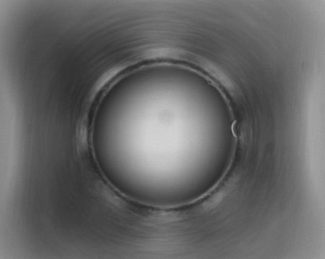 X0000114080877200910051356