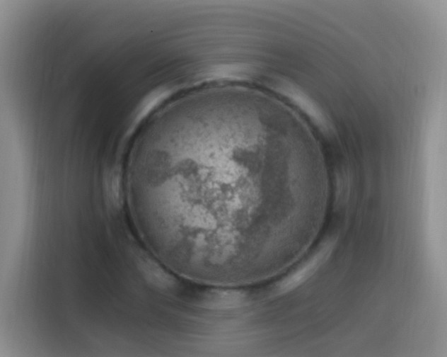 X0000114080878200910051356