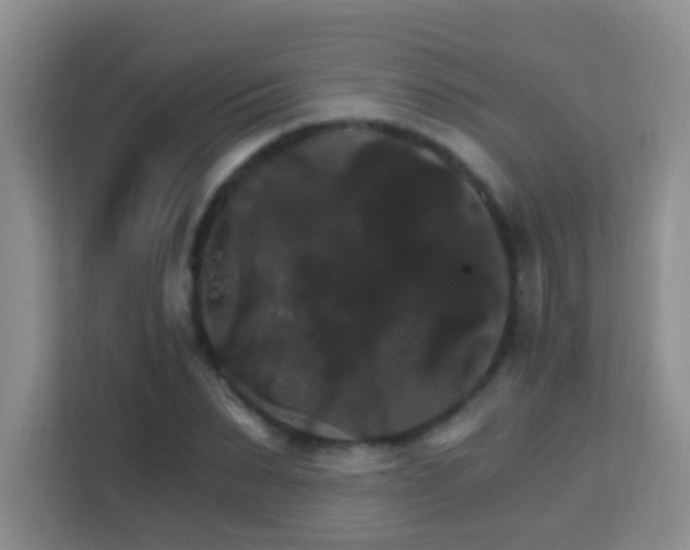 X0000114080879200910051356