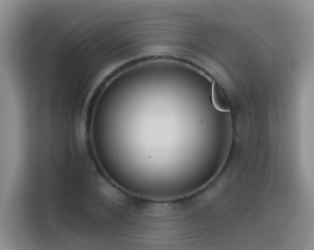 X0000114080880200910051356