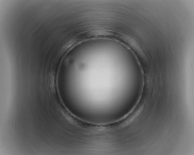 X0000114080881200910051356