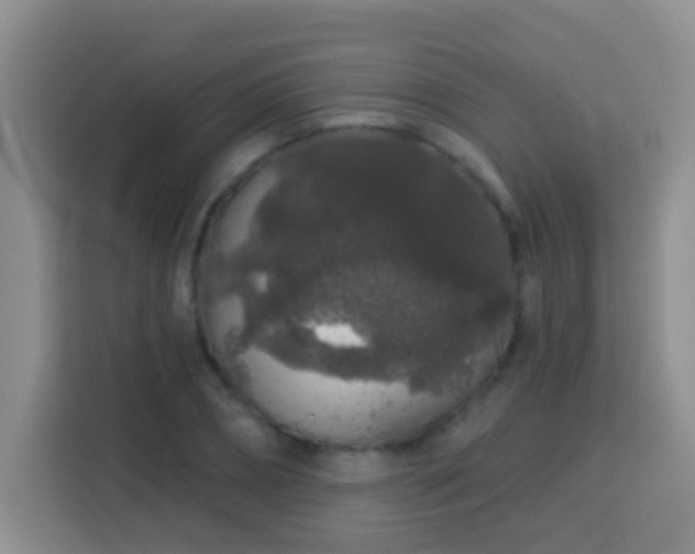 X0000114080882200910051356