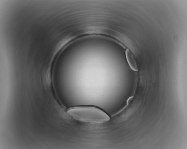 X0000114080885200910051356