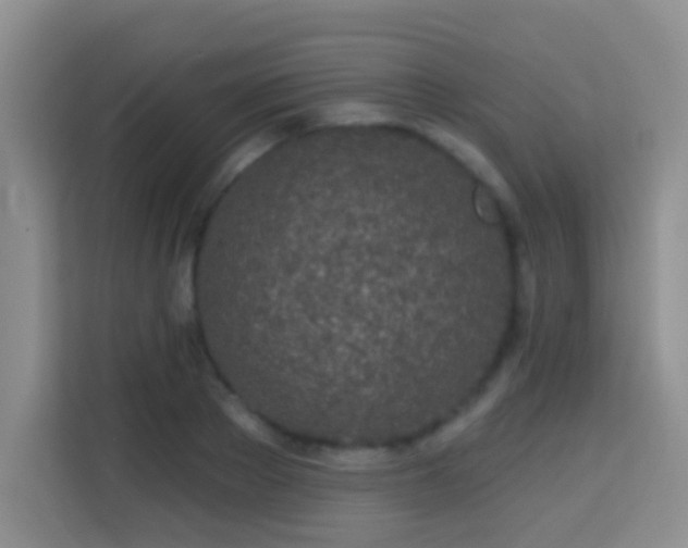 X0000114080889200910051356