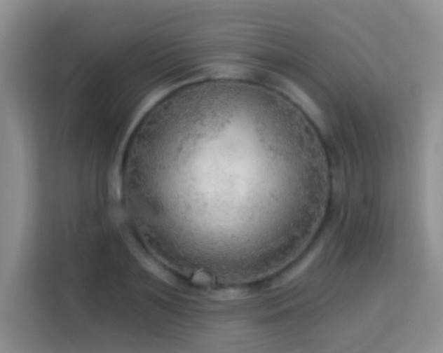 X0000114080891200910051356