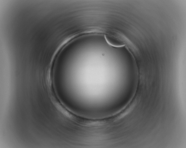 X0000114080892200910051356