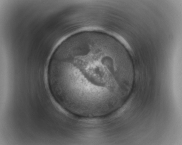 X0000114080895200910051356