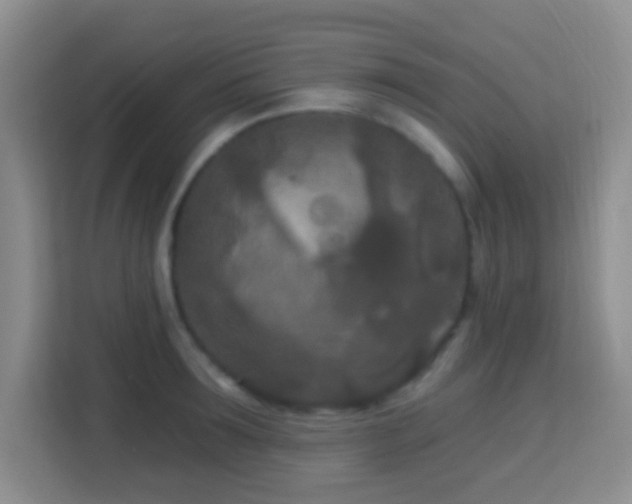 X0000114080899200910051356