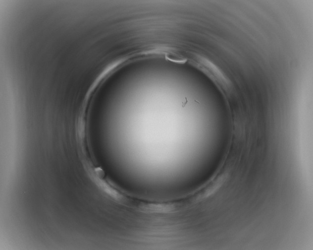 X0000114080900200910051356