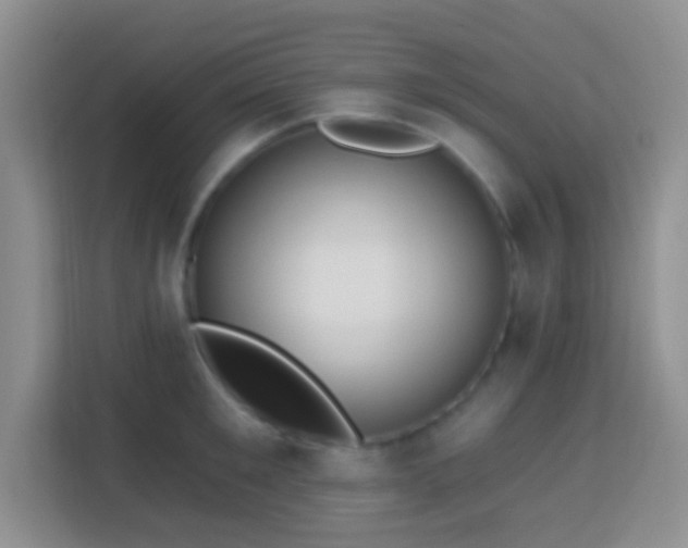 X0000114080901200910051356