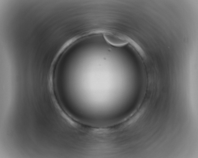 X0000114080902200910051356