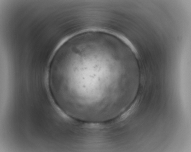 X0000114080903200910051356